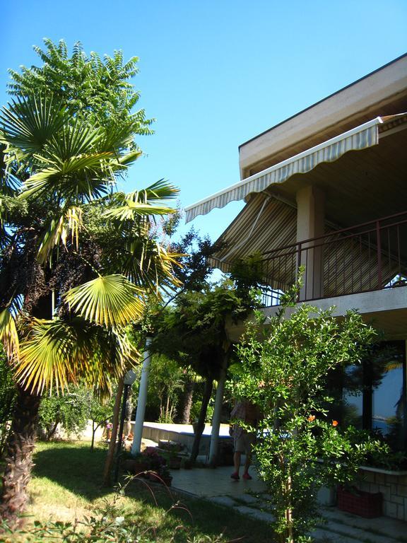 Apartment Apollonio בפורטורוז מראה חיצוני תמונה