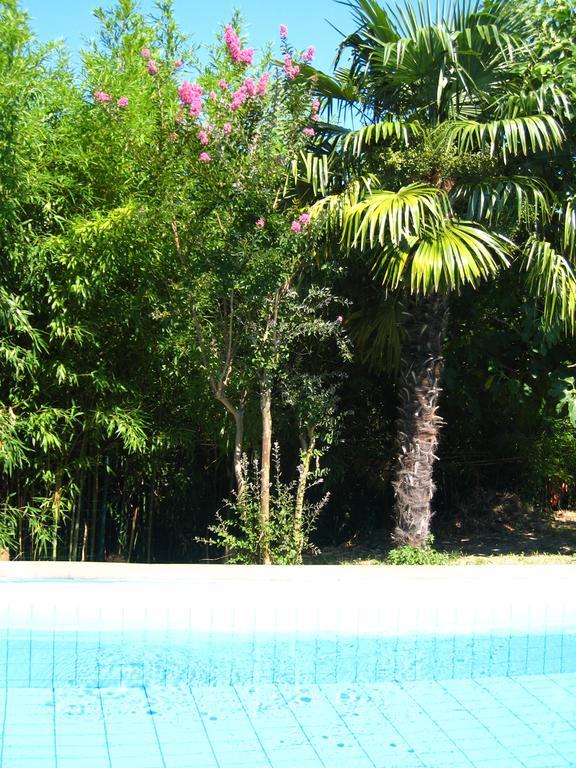 Apartment Apollonio בפורטורוז חדר תמונה